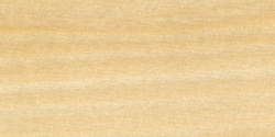 Image of Poplar Dimensional Lumber